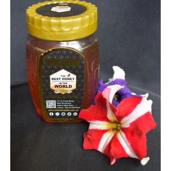 Islamic Castle The Best Honey 250g