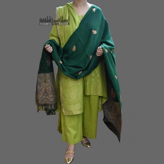 WOMEN SHAWL ACRO GREEN WOOLEN BROWN DESIGNER SIDES