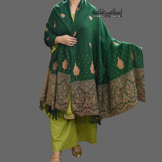 WOMEN SHAWL ACRO GREEN WOOLEN BROWN DESIGNER SIDES